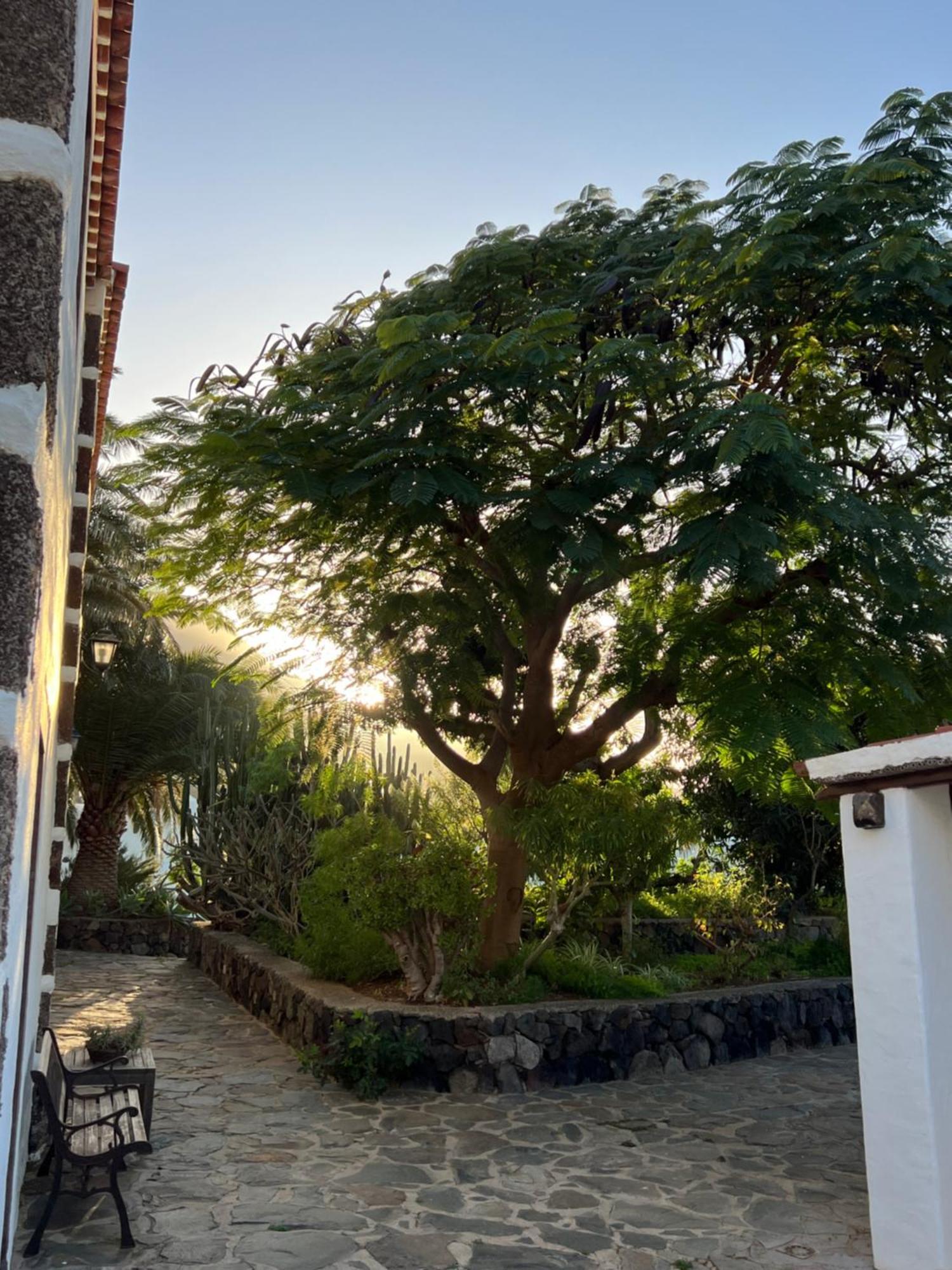 Finca Exclusiv La Mareta Agaete  Esterno foto