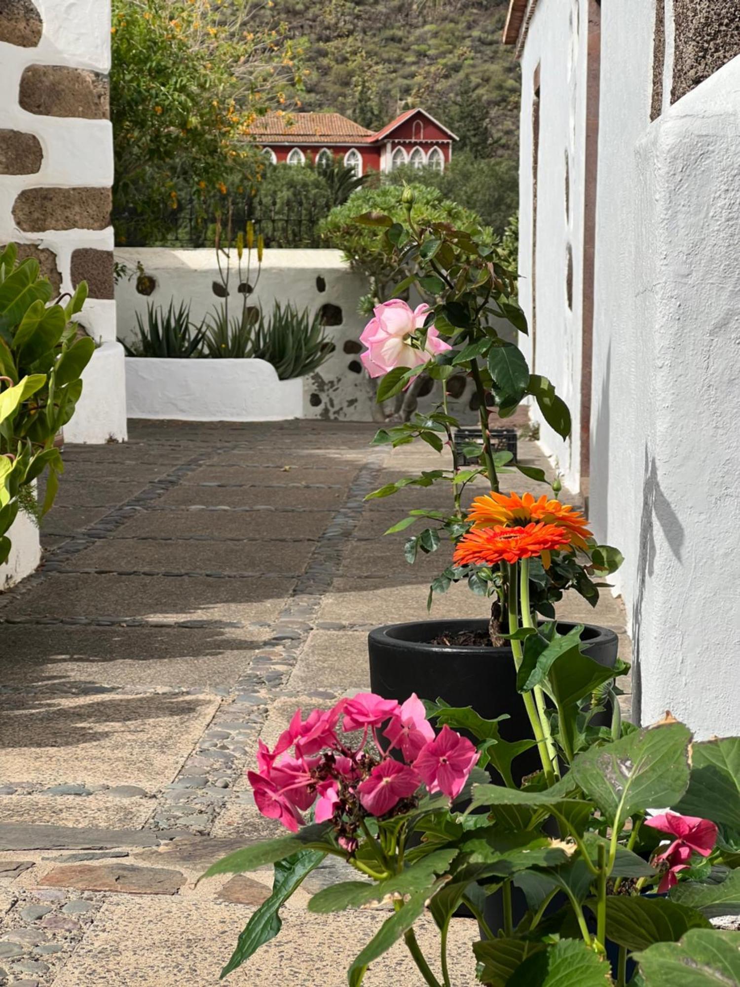 Finca Exclusiv La Mareta Agaete  Esterno foto