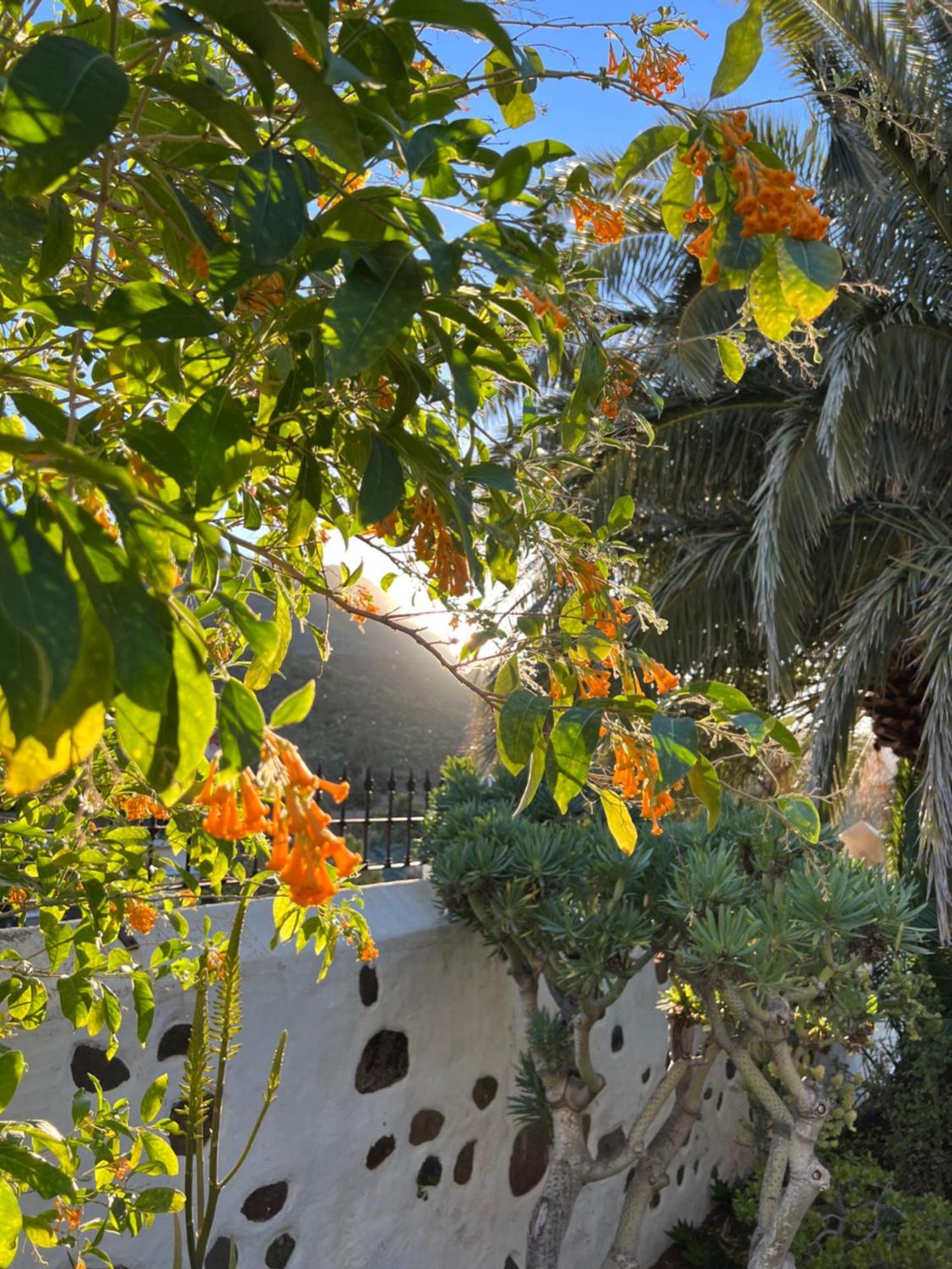 Finca Exclusiv La Mareta Agaete  Esterno foto