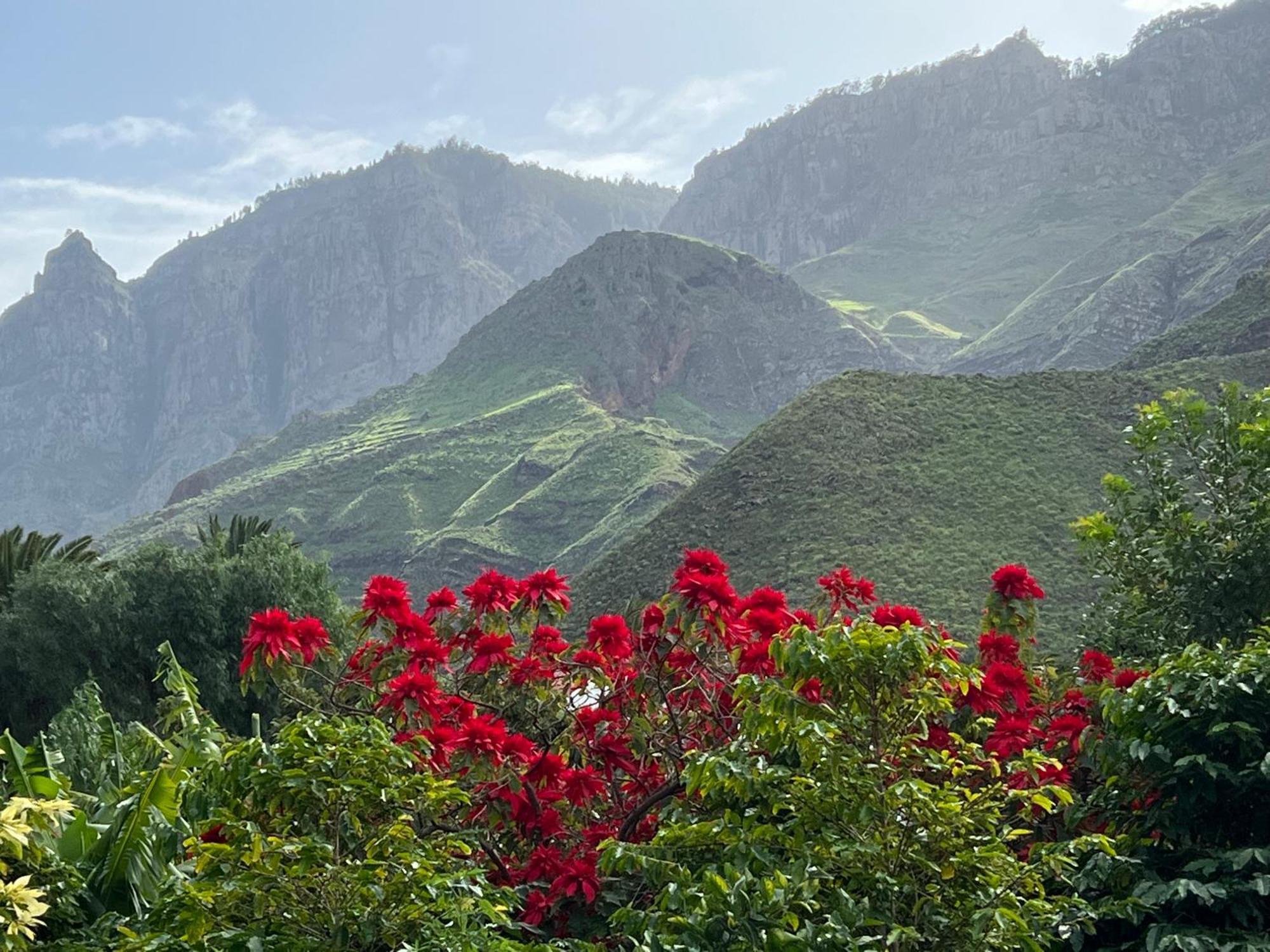Finca Exclusiv La Mareta Agaete  Esterno foto