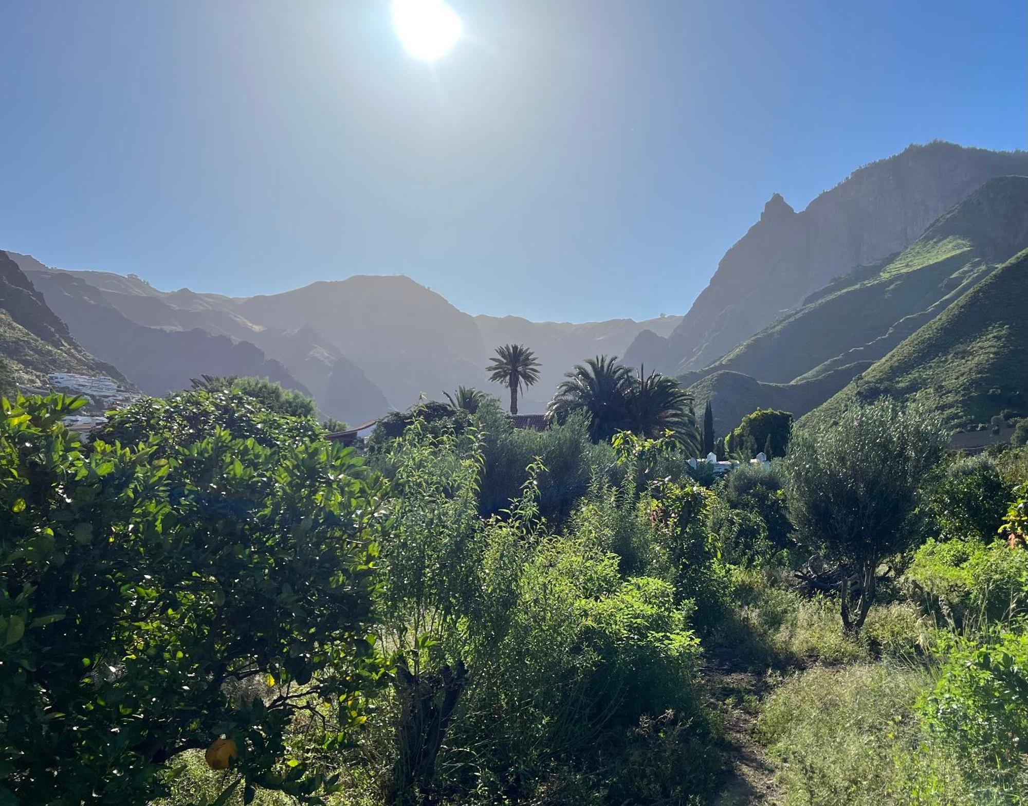 Finca Exclusiv La Mareta Agaete  Esterno foto